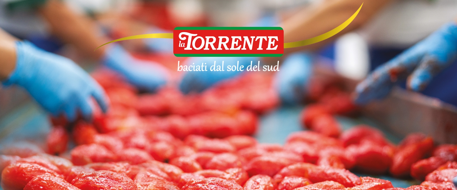 Torrente